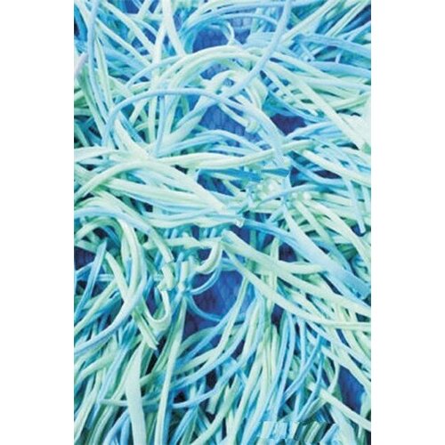 Angelo Ковер Spaghetti 3508 35 2x3м