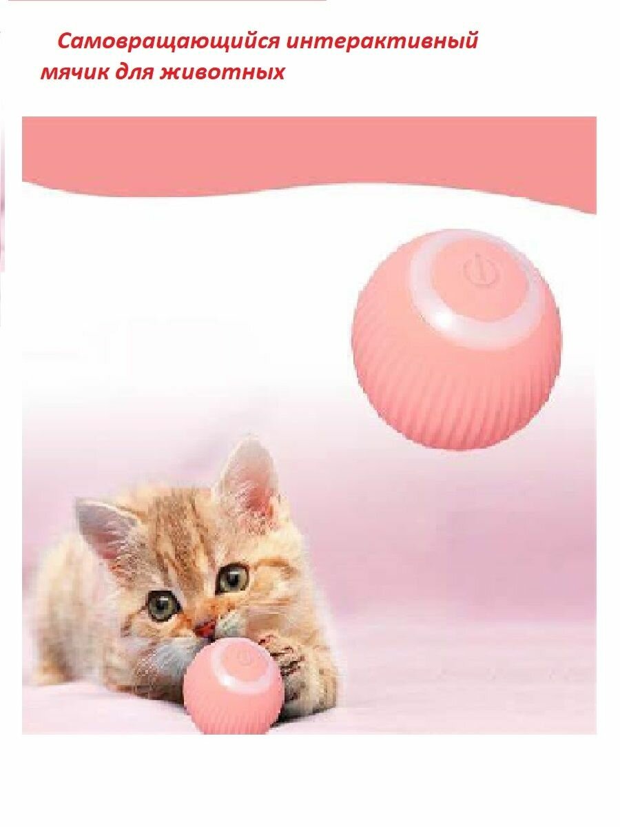 Игрушка-мяч для кошек и собак интерактивный