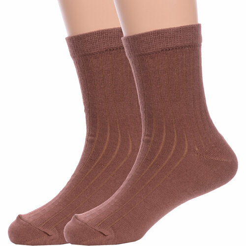 Носки Альтаир 2 пары, размер 16, коричневый носки альтаир 2 пары размер 10 коричневый