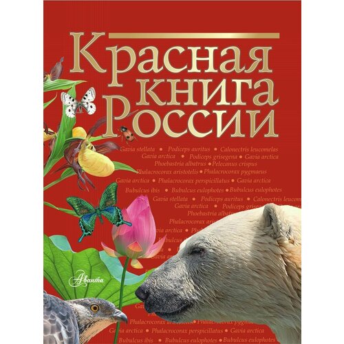 Красная книга России мигунова е я красная книга планеты для детей редкие и исчезающие виды дикой природы