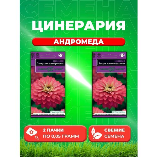 Цинерария приморская Андромеда, 0,05г, Удачные (2уп) семена цинерария приморская андромеда 0 05 г