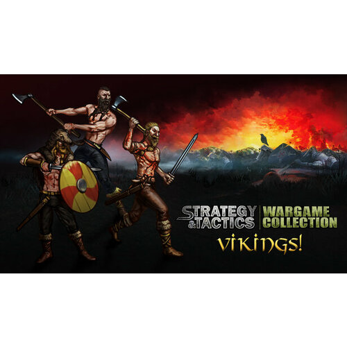 Дополнение Strategy & Tactics: Wargame Collection - Vikings! для PC (STEAM) (электронная версия)