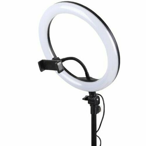 Лампа кольцевая M-33 с пультом на проводе диаметр 33см в коробке 100900₽