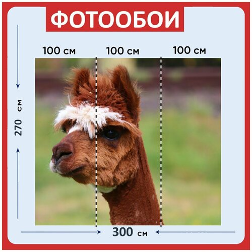 Фотообои Альпака коричневый белый 300x270 см флизелиновыена стену 3980₽