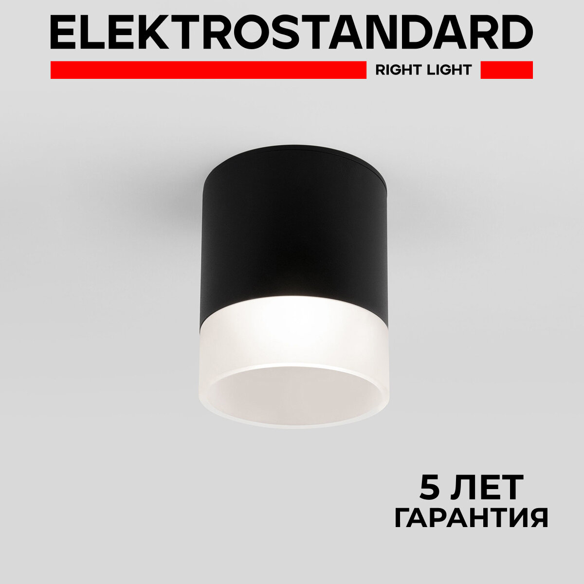 Уличный потолочный светильник Elektrostandard Light LED 2107 35140/H черный IP54