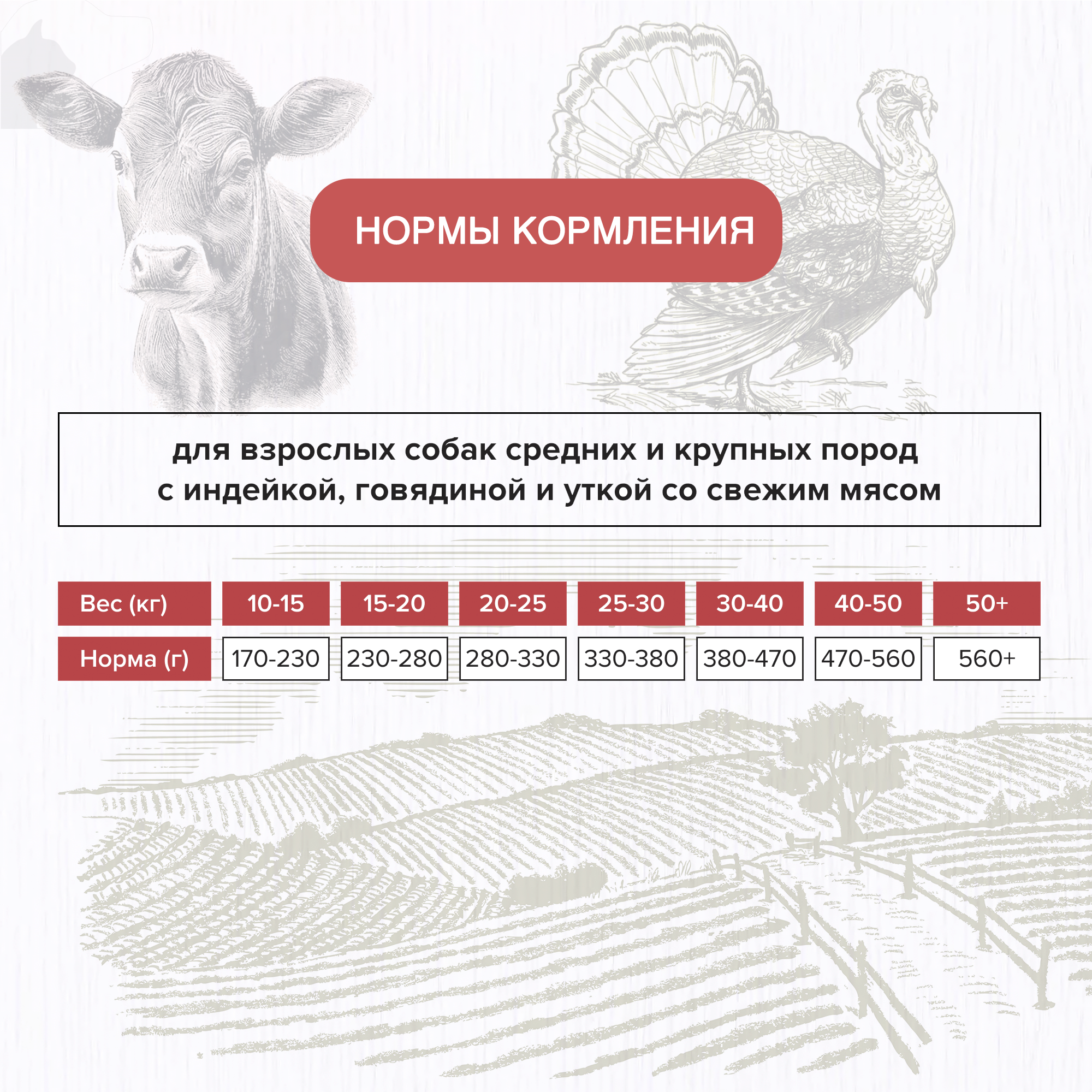 DOCTRINE корм для средних и крупных собак с Индейкой, Говядиной и Уткой, свежее мясо, 3 кг (FRESH MEAT) — фото 1