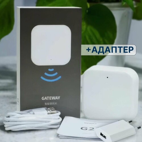 Шлюз с адаптером для "умного" дверного замка TTlock Gateway G2, Wi-Fi, Bluetooth белый