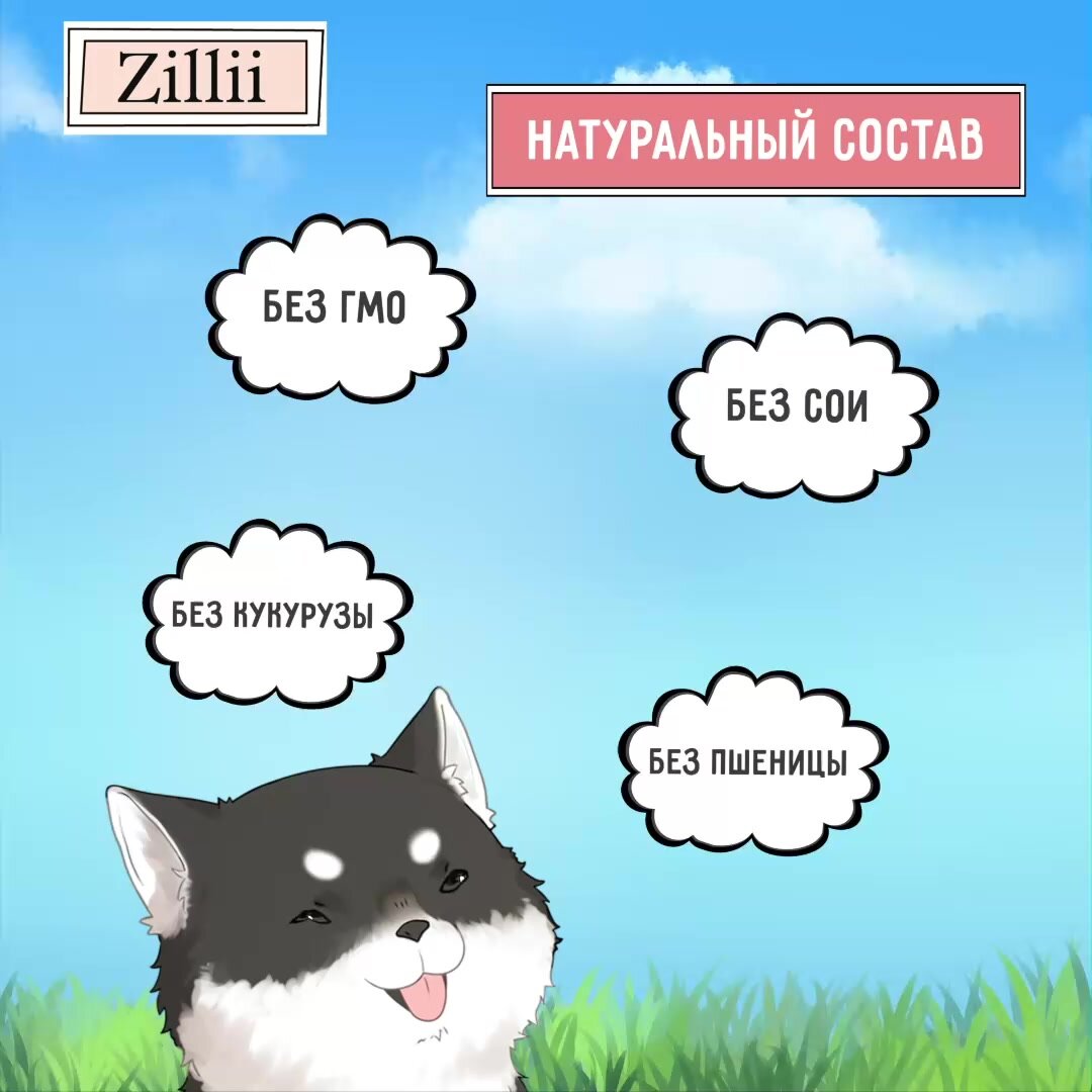 Корм сухой для щенков 800 г, гипоаллергенный ZILLII (Зилли) Puppy ...