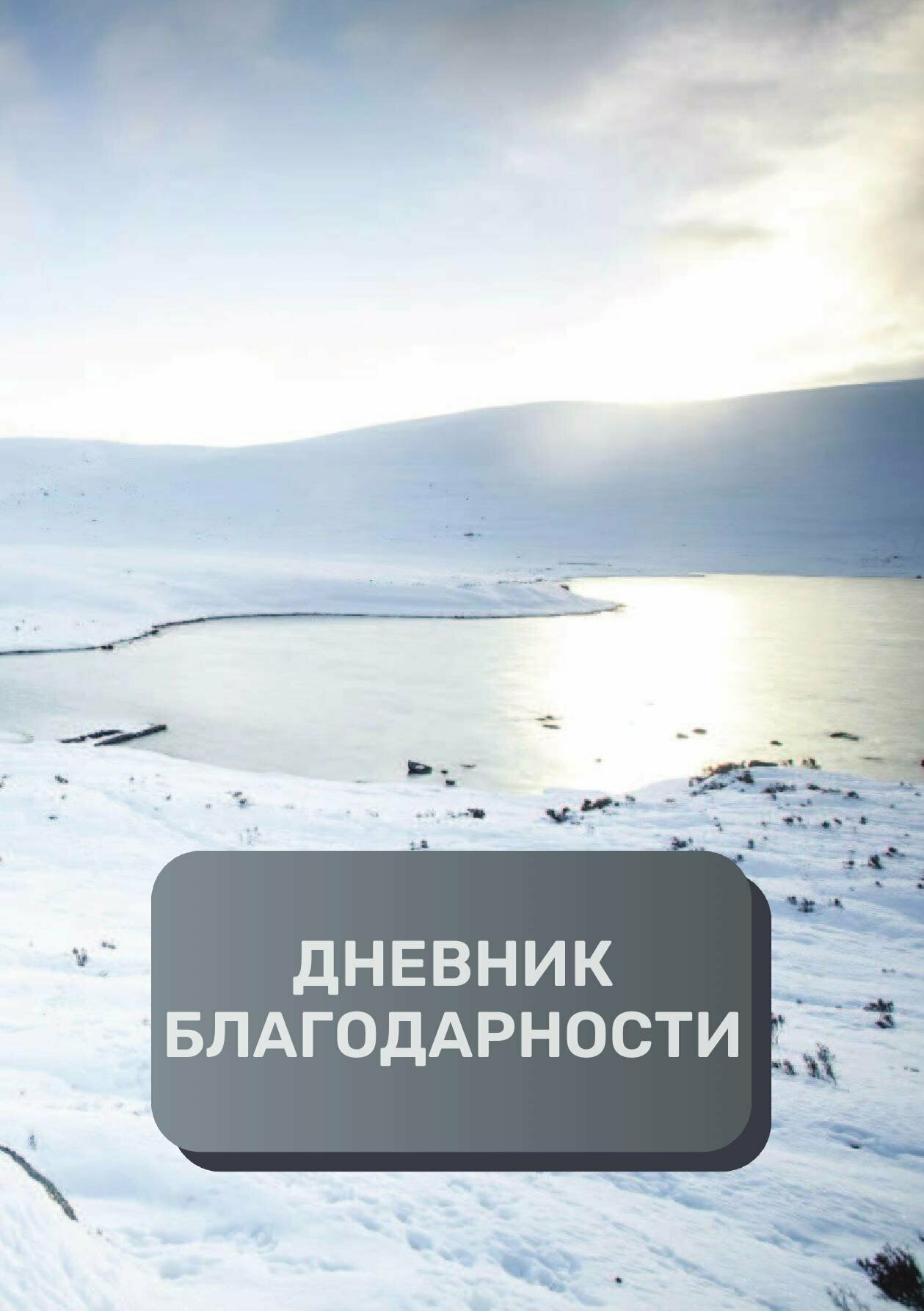Дневник благодарности, премиум (подарочное) издание, 200 страниц