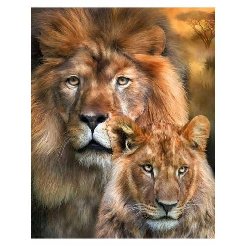 Алмазная мозаика на подрамнике 40x50 Львы
