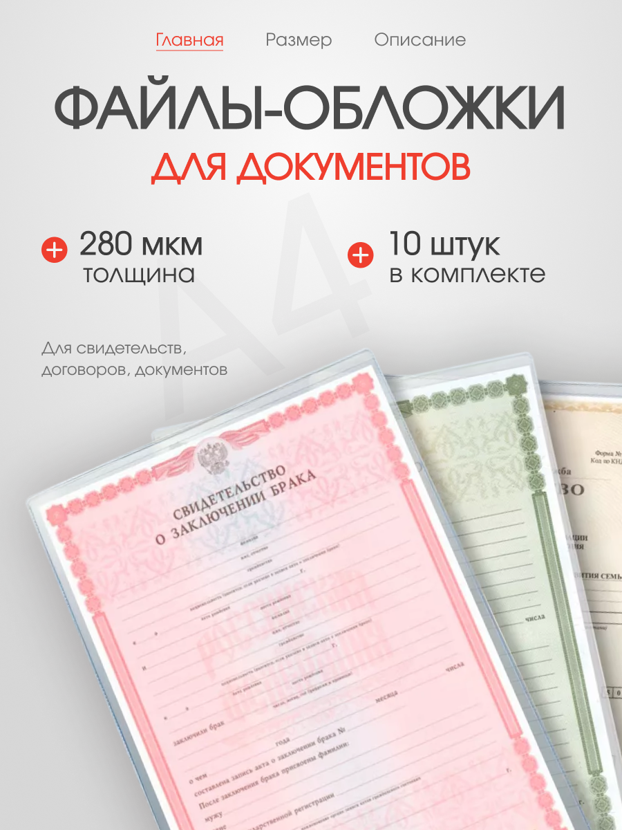 Документница для личных документов Moon Land, прозрачный