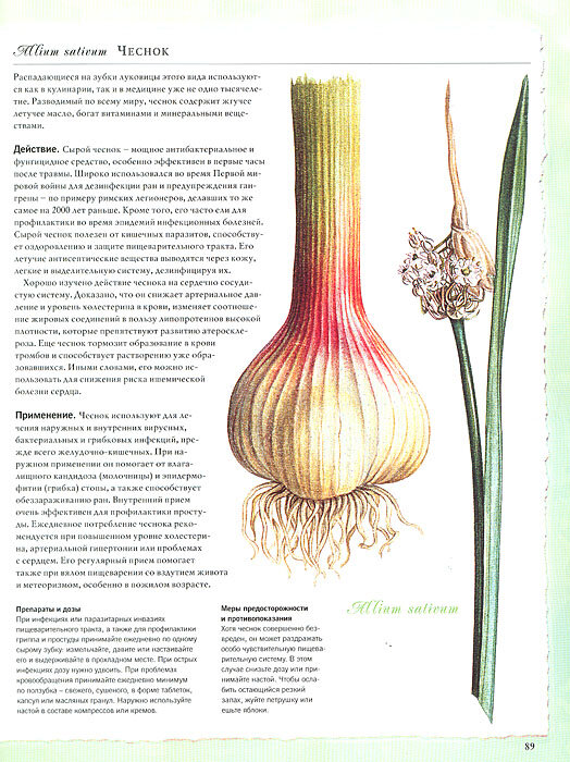 Природная аптека — фото 1