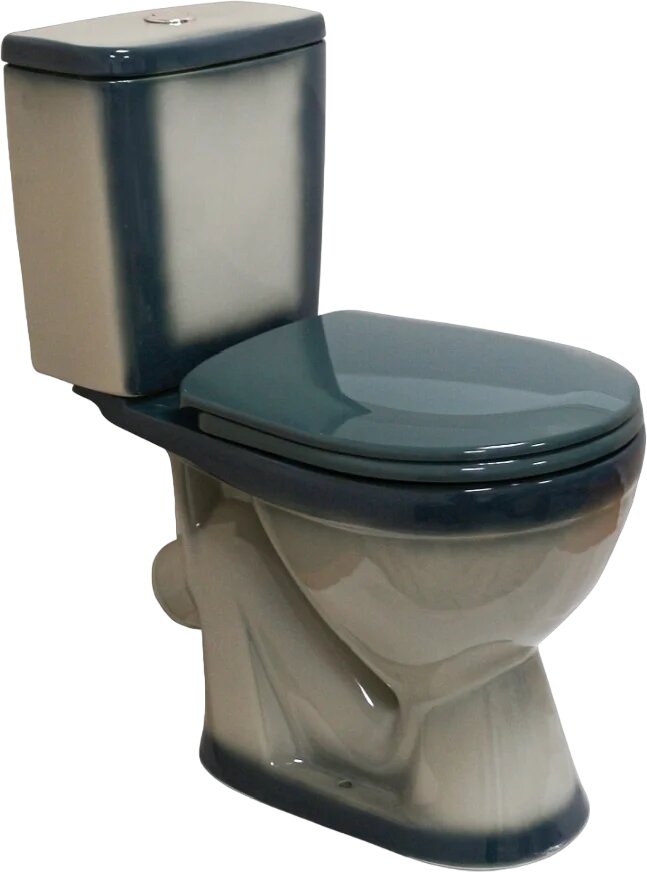 Унитаз-компакт напольный Rosa Лира 4620008192062 с косым выпуском