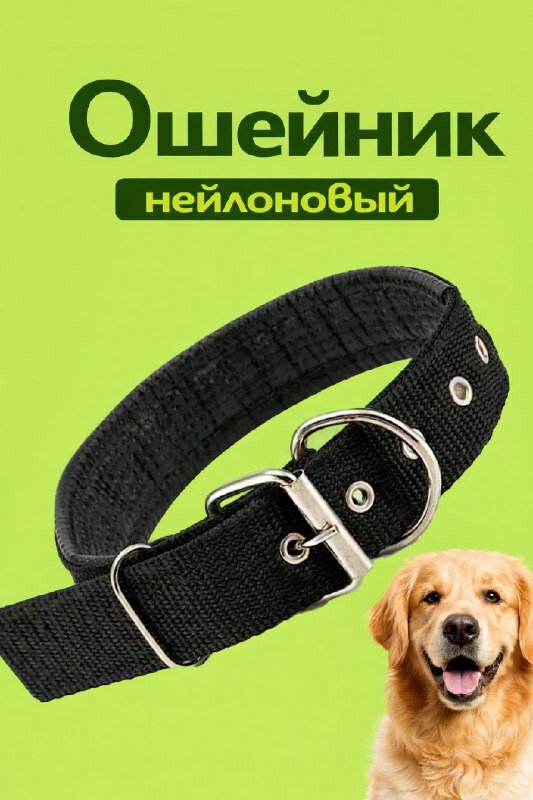 Ошейник для собак с прижкой 7