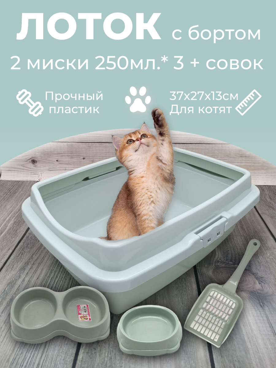 Набор лоток с бортом с мисками и совком, лоток для котят, туалет для кошек маленький ментол