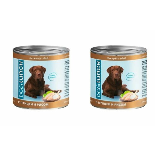 Dog Lunch Консервы для собак Экспресс обед с Птицей и рисом, 750 г, 2 штуки