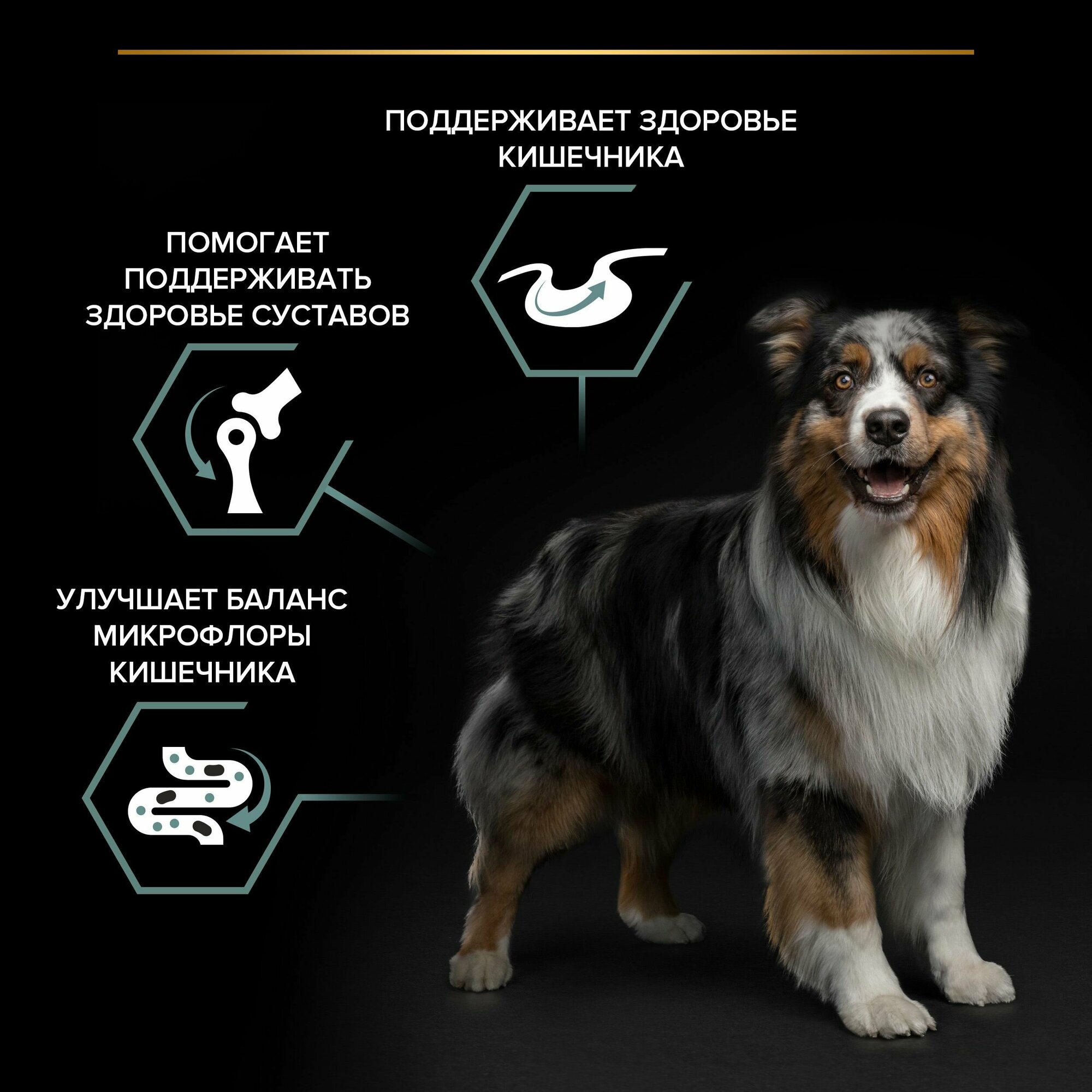 Сухой корм Pro Plan Optidigest Sensitive Digestion для взрослых собак средних пород с чувствительным пищеварением, ягненок, 7кг - фото №11