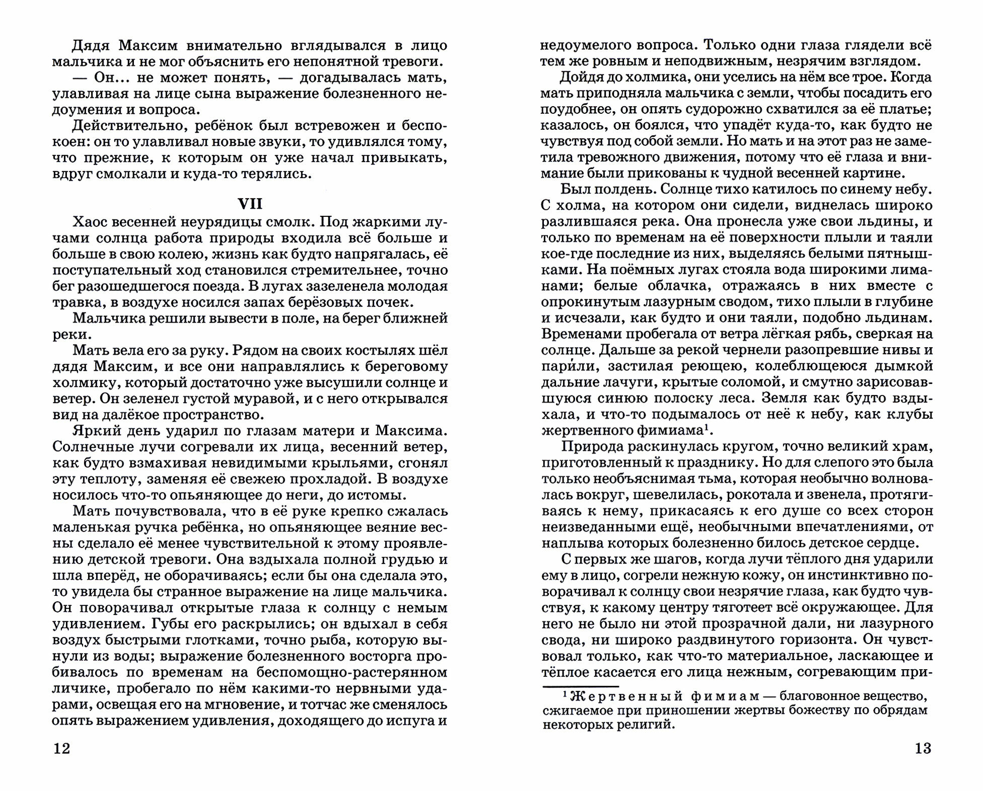 Слепой музыкант. (Короленко Владимир Галактионович) - фото №2