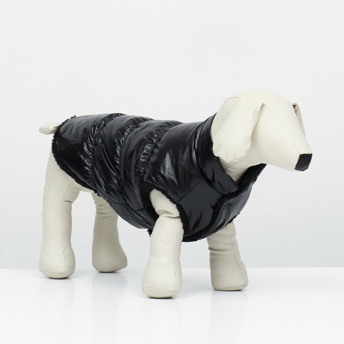 Куртка для собак КНР "Блеск", размер S, длина спинки 25 см, обхват грудки 37 см, шеи 24 см, до 5 кг, черная