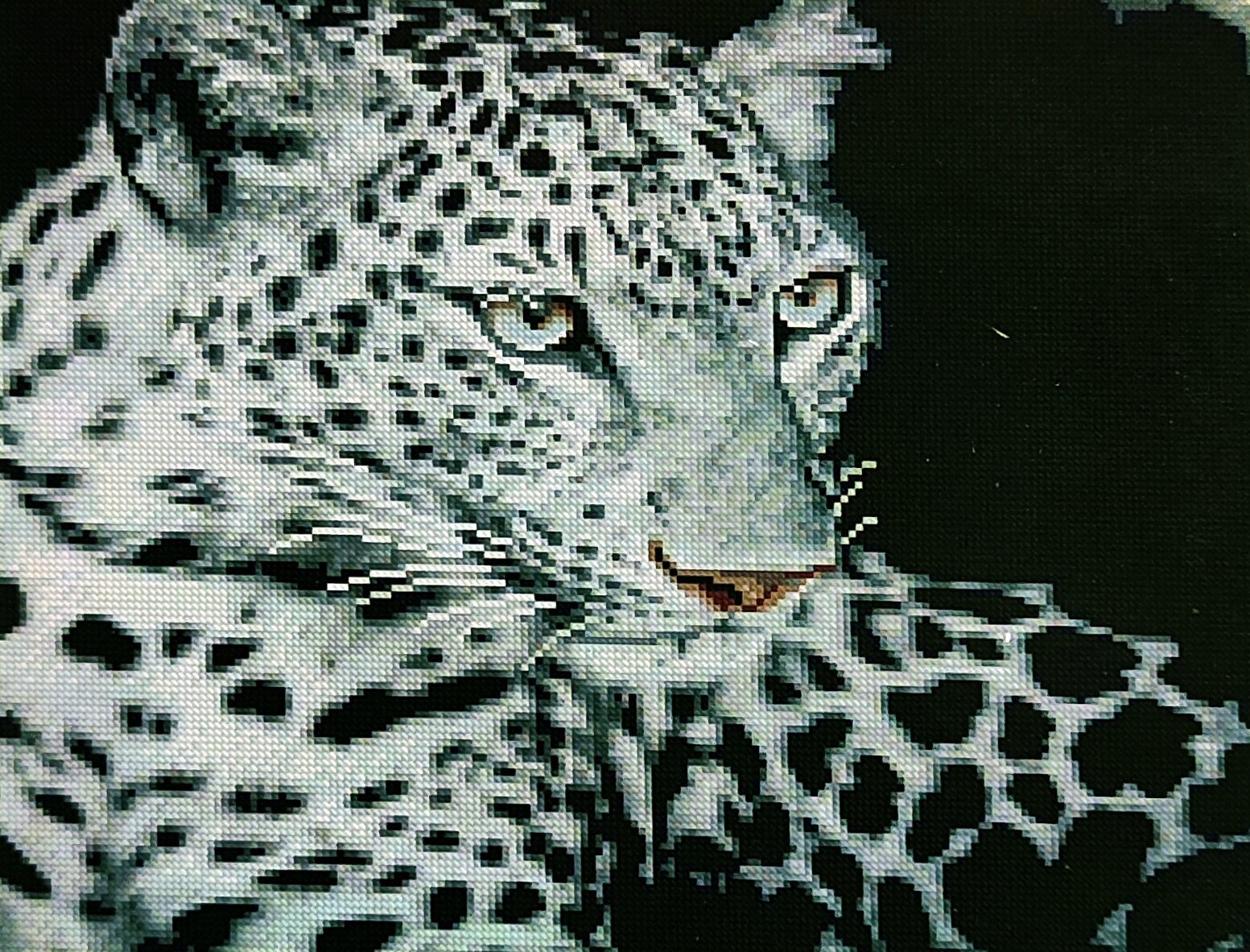 фото Алмазные мозаика круглые стразы, 40/50 , волк, лиса, животные, тигр, лев, царь зверей, поп-арт, тропики, сафари, черно-белая, леопардафрика, хищник