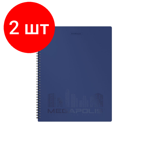 Комплект 2 штук, Папка файловая на 40файлов Erich Krause Megapolis А4 спир 600мкм син49957 папка планшет а4 megapolis пластик синий erich krause