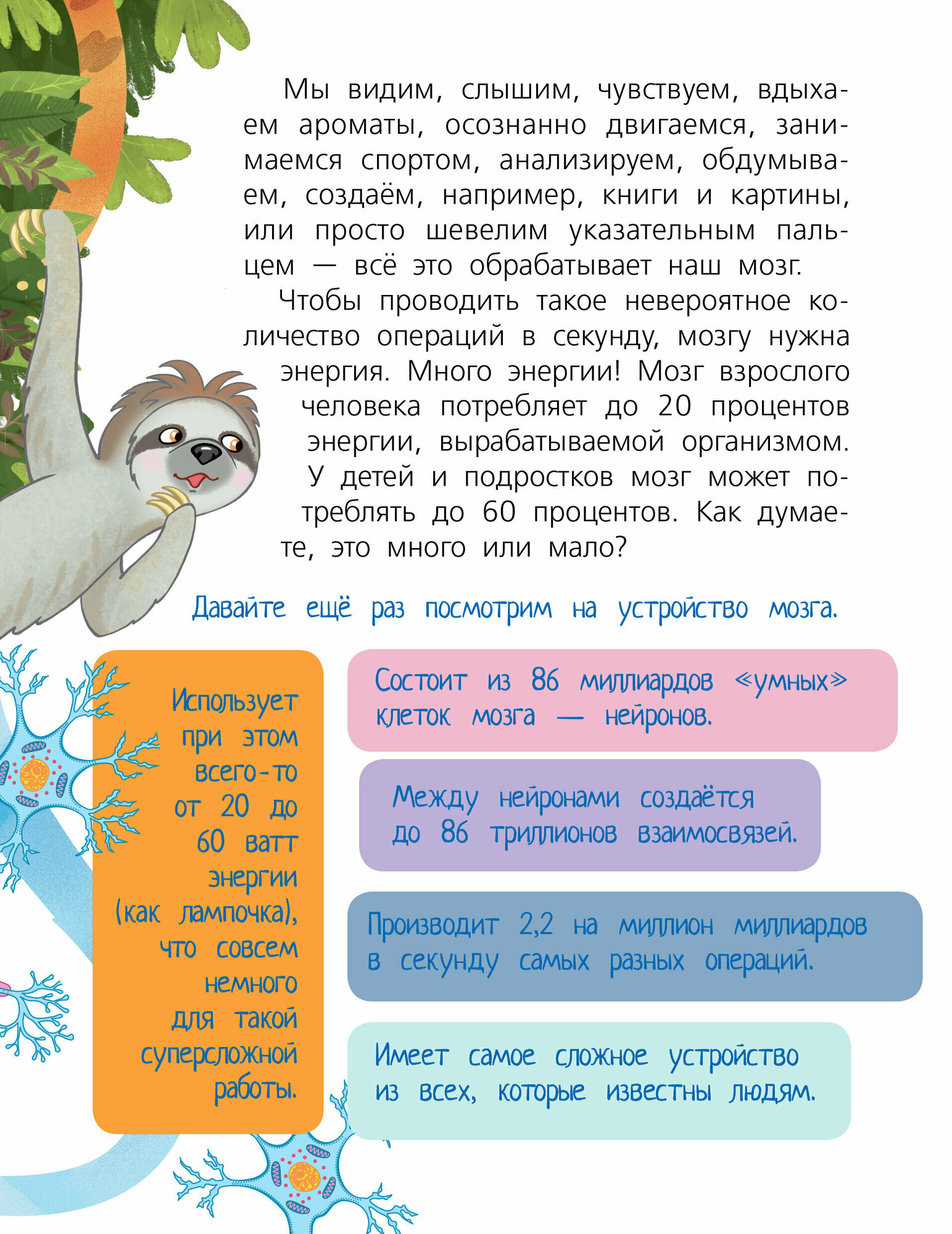 Мозг (Саксон Мари Владимировна) - фото №5