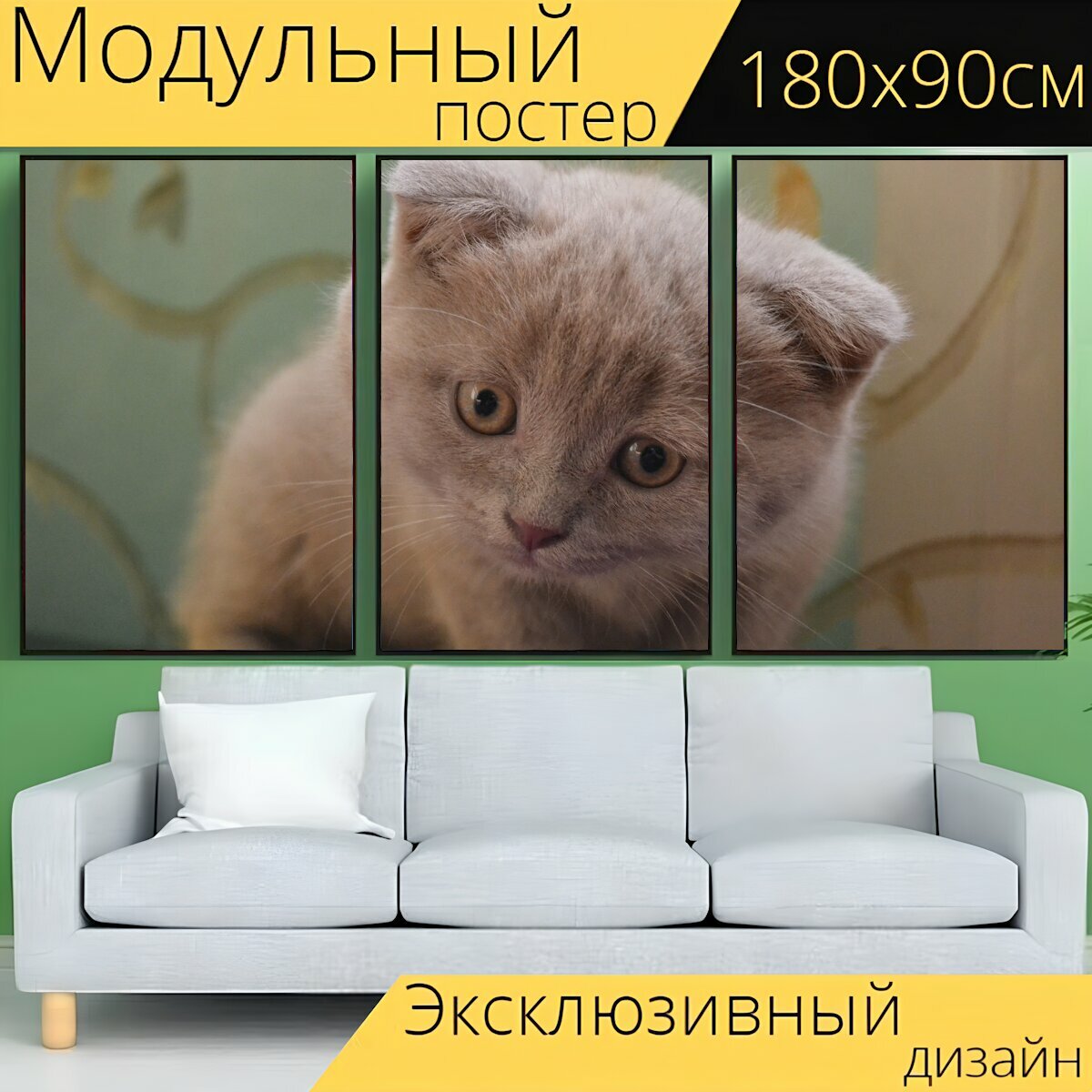 Модульный постер "Кошка, китти, котенок" 180 x 90 см. для интерьера