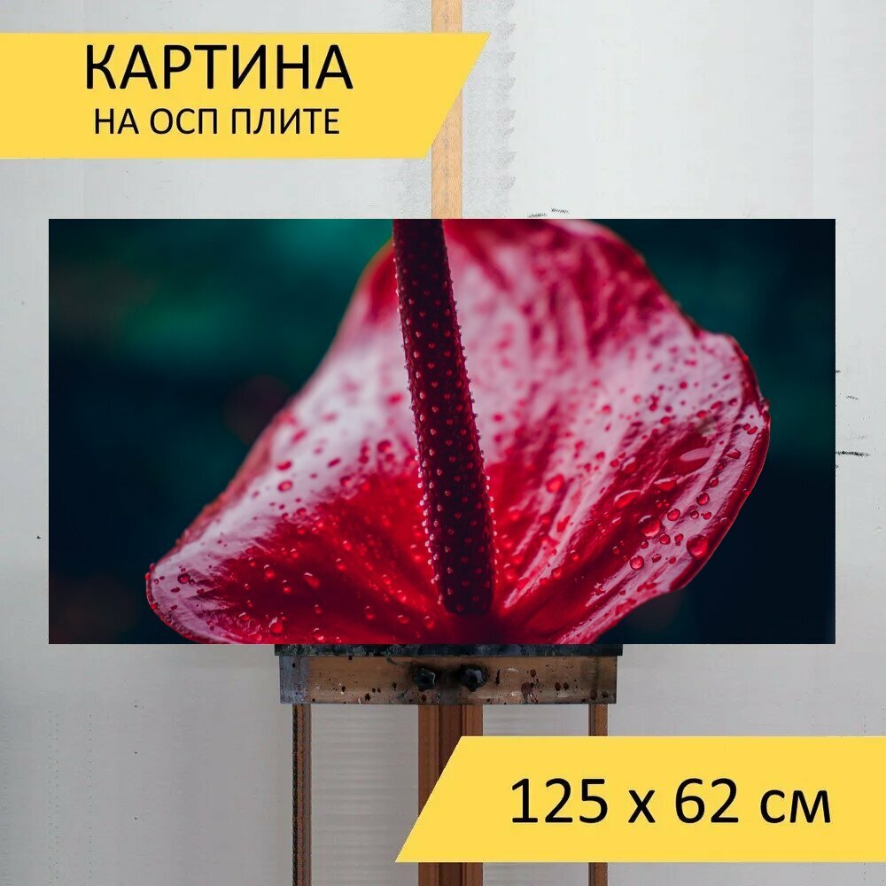 Картина на ОСП 125х62 см. 