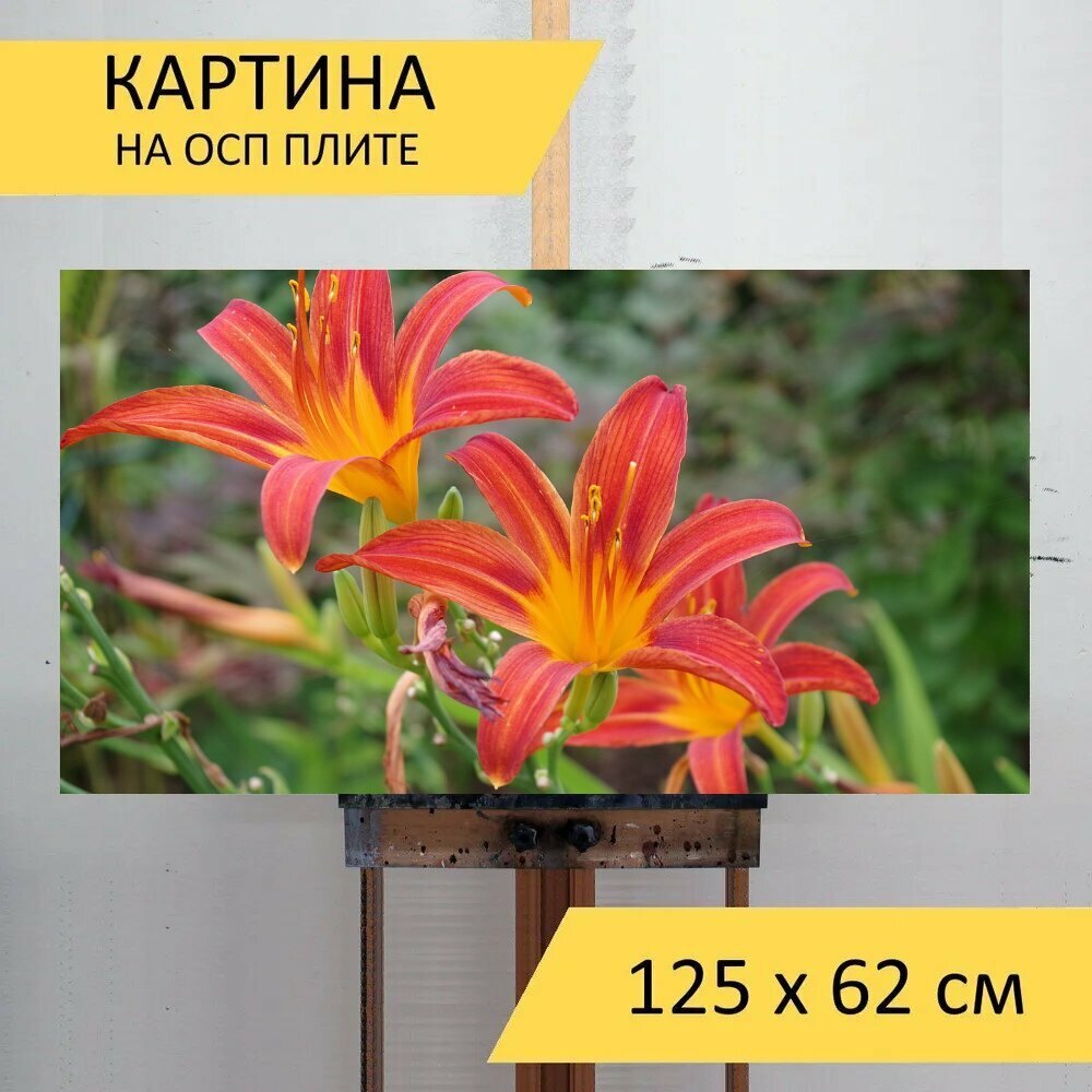 Картина на ОСП 125х62 см. 