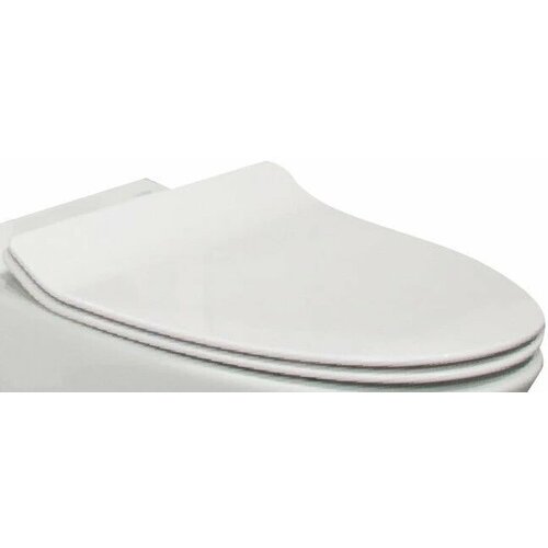 Сидение для унитаза с микролифтом Sanitana Pop Art TN80001962600000