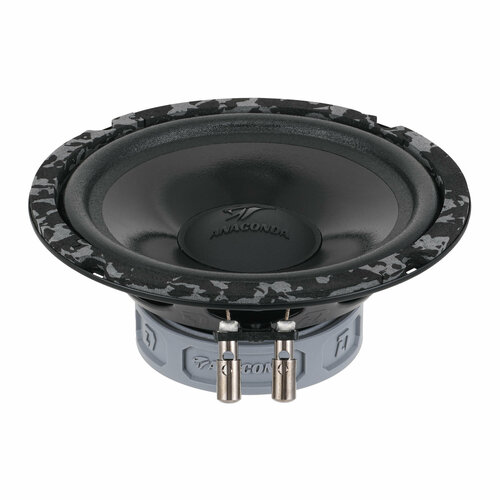 Акустическая система DL Audio Anaconda 165 Comp 649000₽