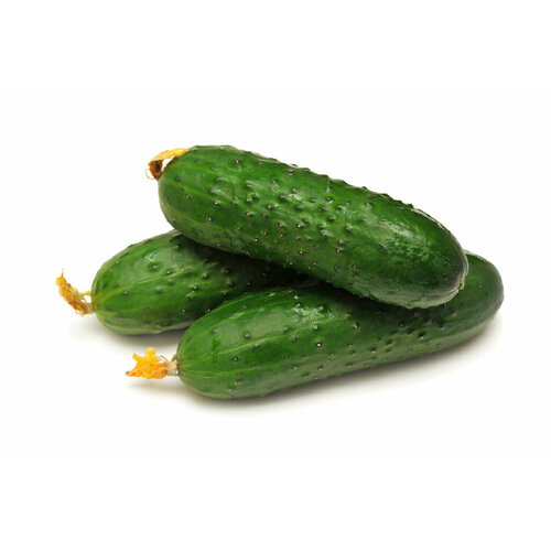 Огурец Мане, Армения.