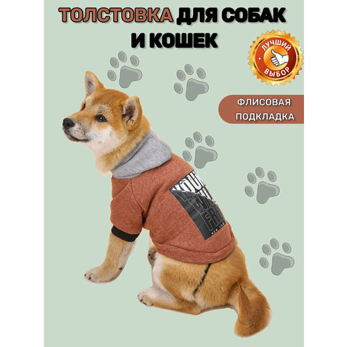 Толстовка для собак мелких, средних и крупных пород, кошек, котов. Худи для собак и кошек. Кофта. Одежда для животных. Коричневый-Размер-M