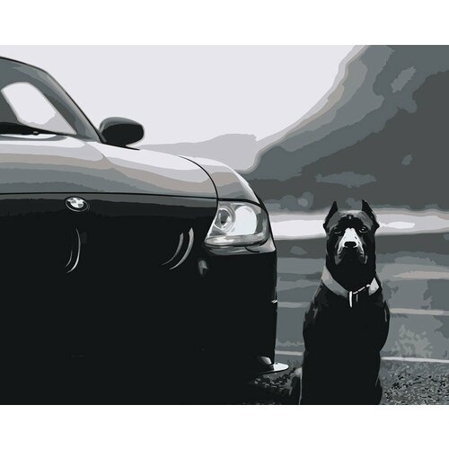 картина по номерам собака кане корсо в осеннем лесу 40x50 Картина по номерам Машина BMW и собака Кане-корсо монохром