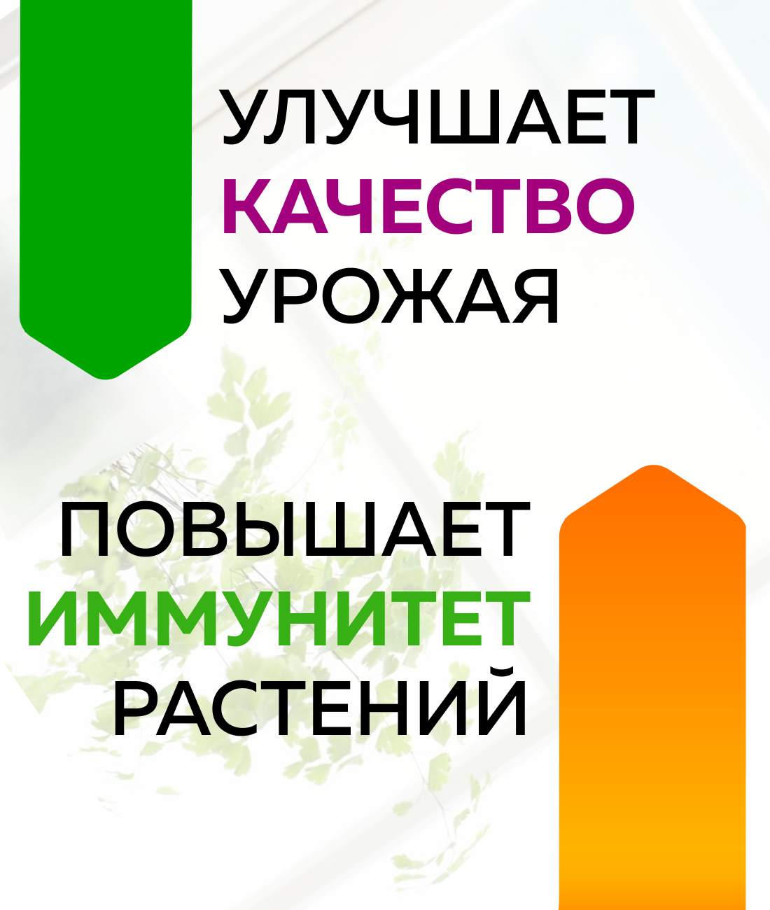 Удобрение-палочки для комнатных растений 60 г Гера - фото №3