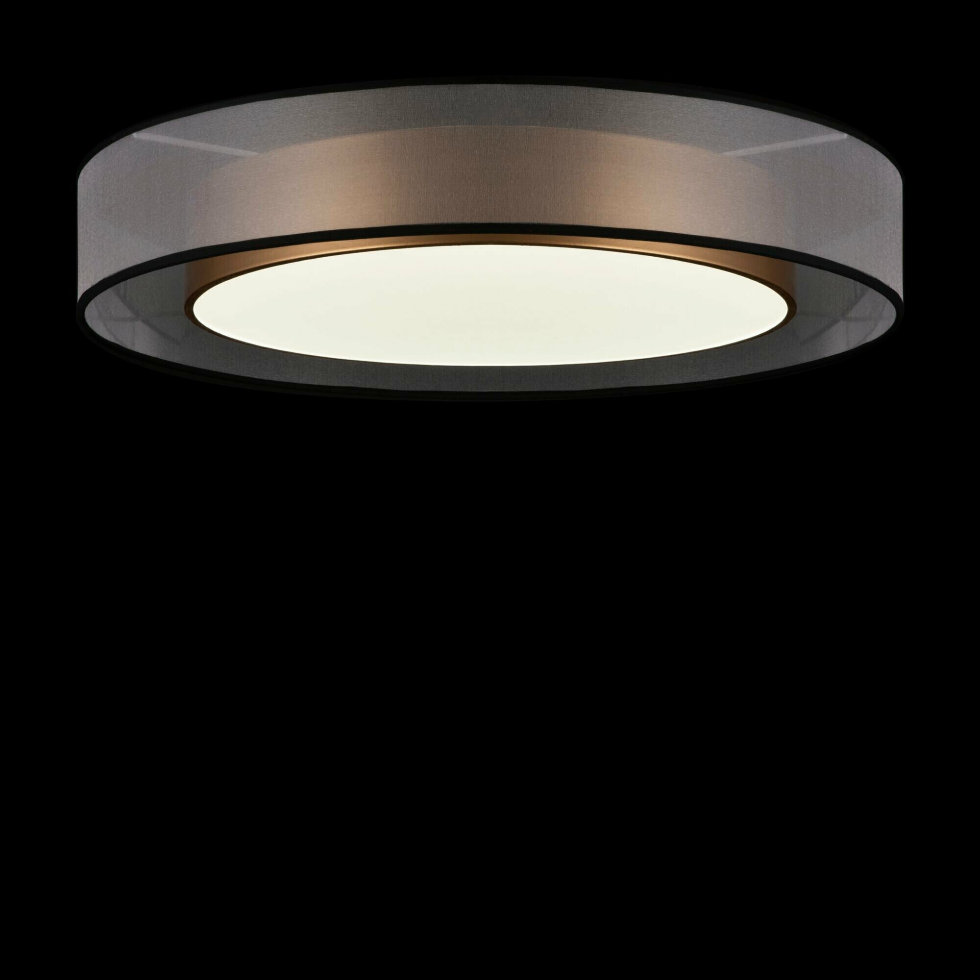 Потолочный светильник Freya LED Zoticus FR6005CL-L48G