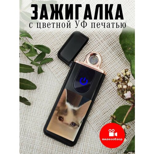 Зажигалка с usb зарядкой электронная в подарок с УФ печатью Кот мем