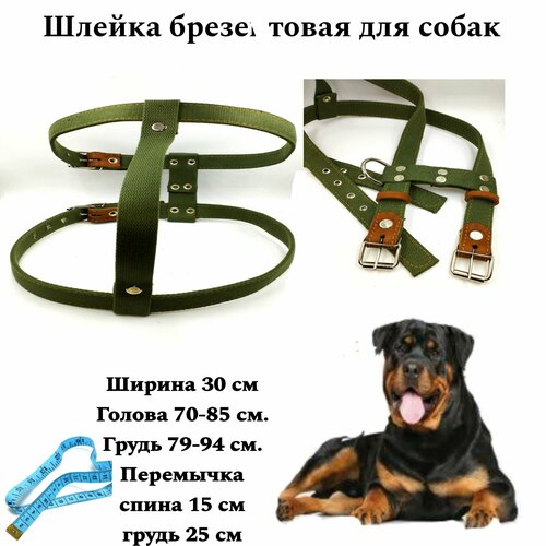 Шлейка брезентовая для крупных пород собак и щенков. Ширина 30 мм.