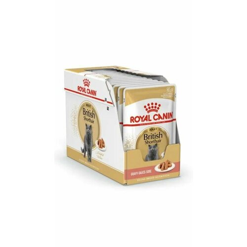 сухой корм для взрослых кошек royal canin british shorthair adult 2 кг Royal Canin Влажный корм для кошек, британской короткошерстной породы, соус, старше 12 месяцев, 85 г, 28 штук