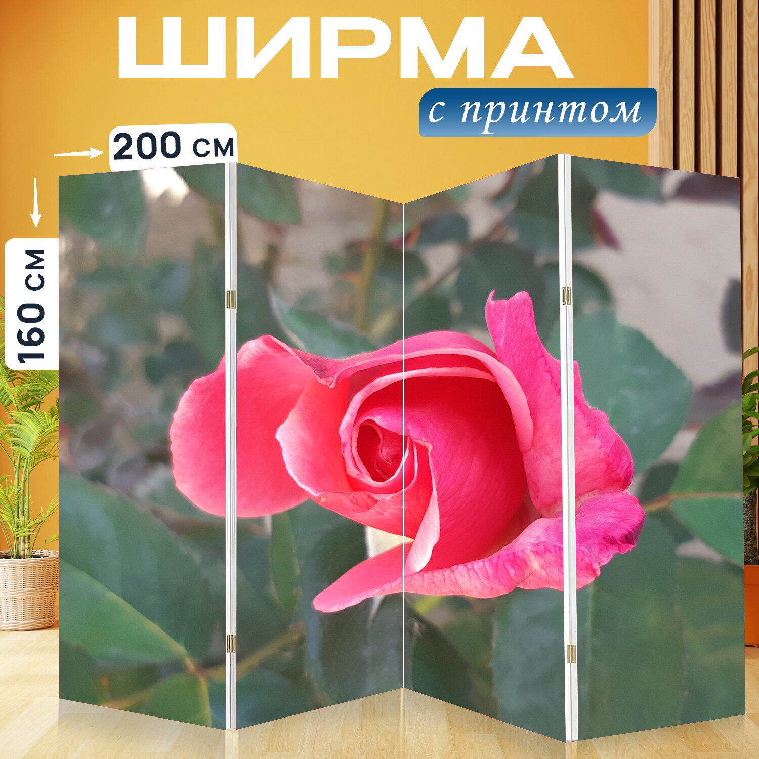 Ширма перегородка с принтом "Многоярусные розы, салон красоты, роза" на холсте - 200x160 см. для зонирования, раскладная