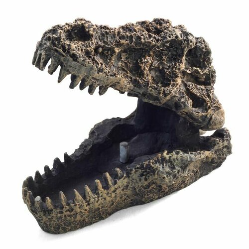 Грот аэрационный Череп динозавра deksi грот череп динозавра 27х15х37 см