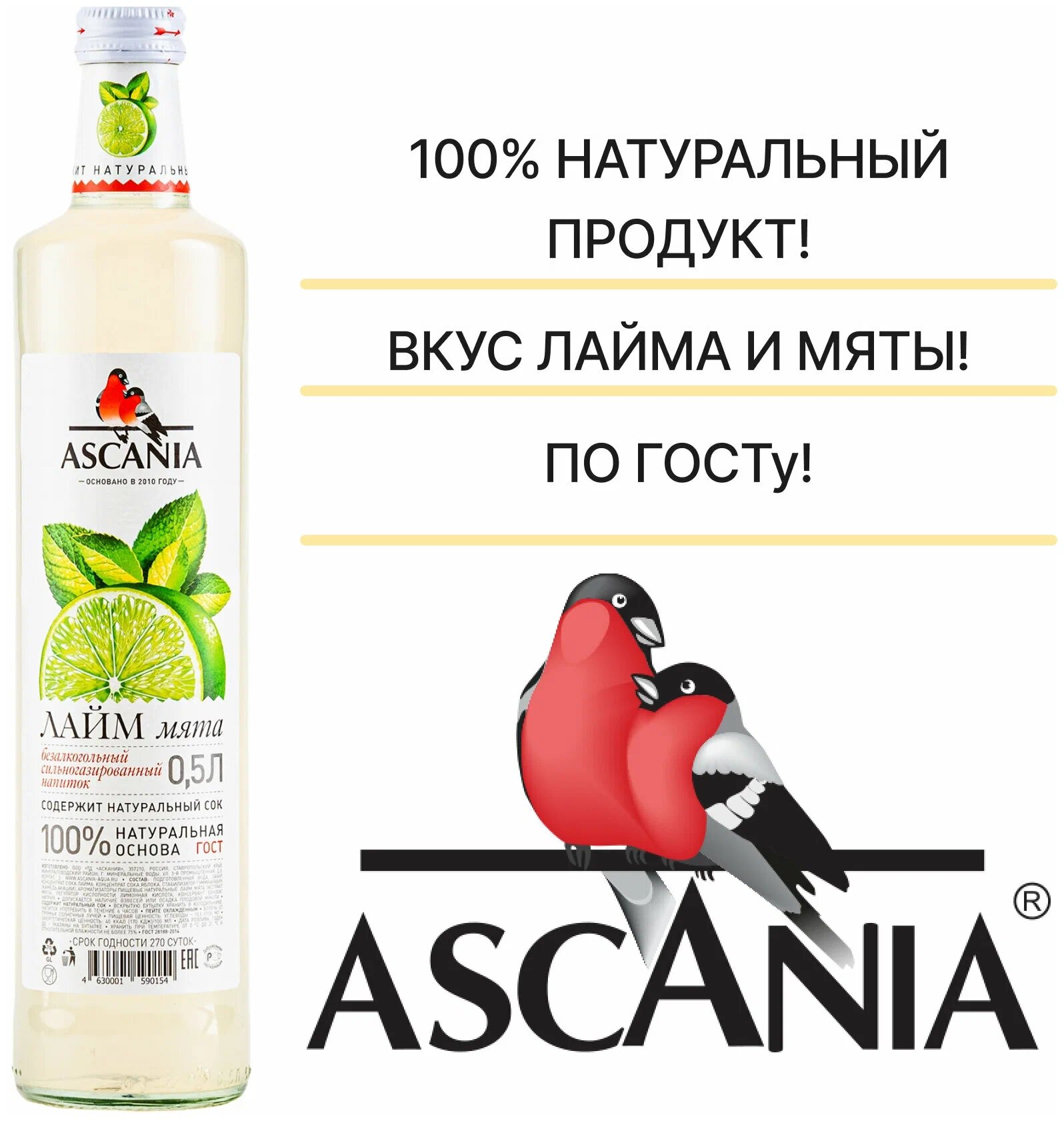 Газированный натуральный лимонад Ascania (Аскания) Лайм Мята 0.5 л. стекло упаковка 12 штук