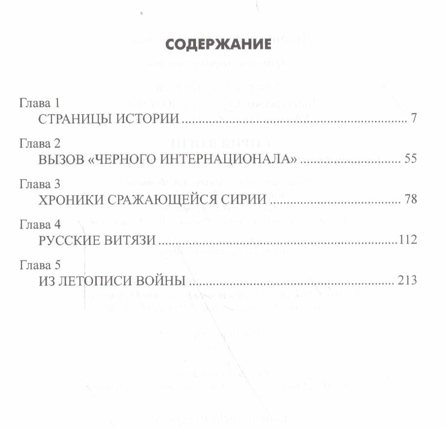 Сирия в огне. Глазами фронтовых корреспондентов "Красной звезды" - фото №3