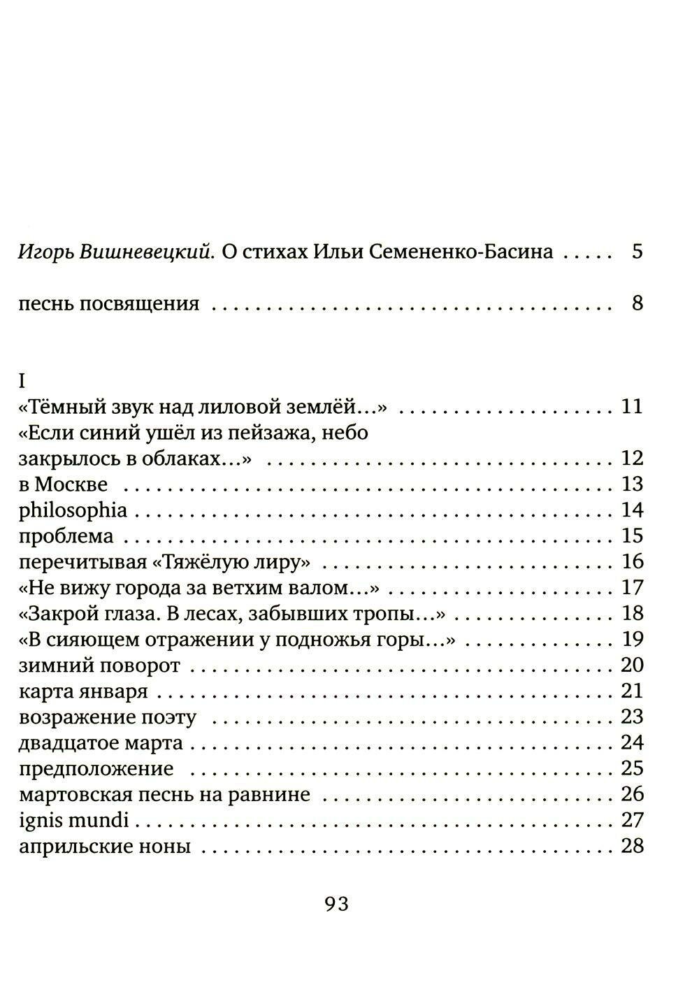 Ручьевинами серебра (Семененко-Басин Илья Викторович) - фото №6