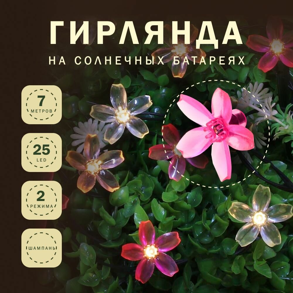 INBLOOM Гирлянда на солн. батарее, 25LED, 7м, шампань, 2 реж, сакура, ПВХ зел, 2V80mA, 1.2V600mAh