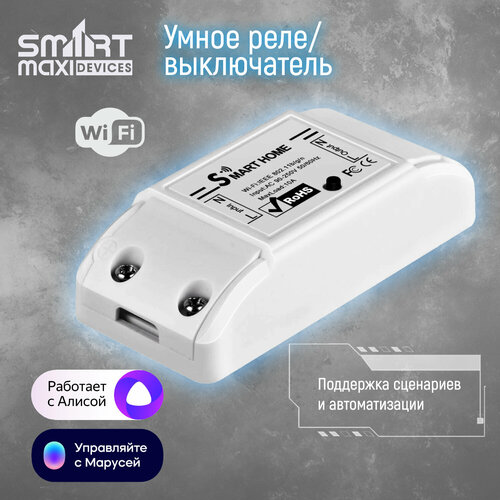 Умное Wi-Fi реле Smart Life Tuya Smart Google Assistant Яндекс Алиса 10А 1 канал 65000₽
