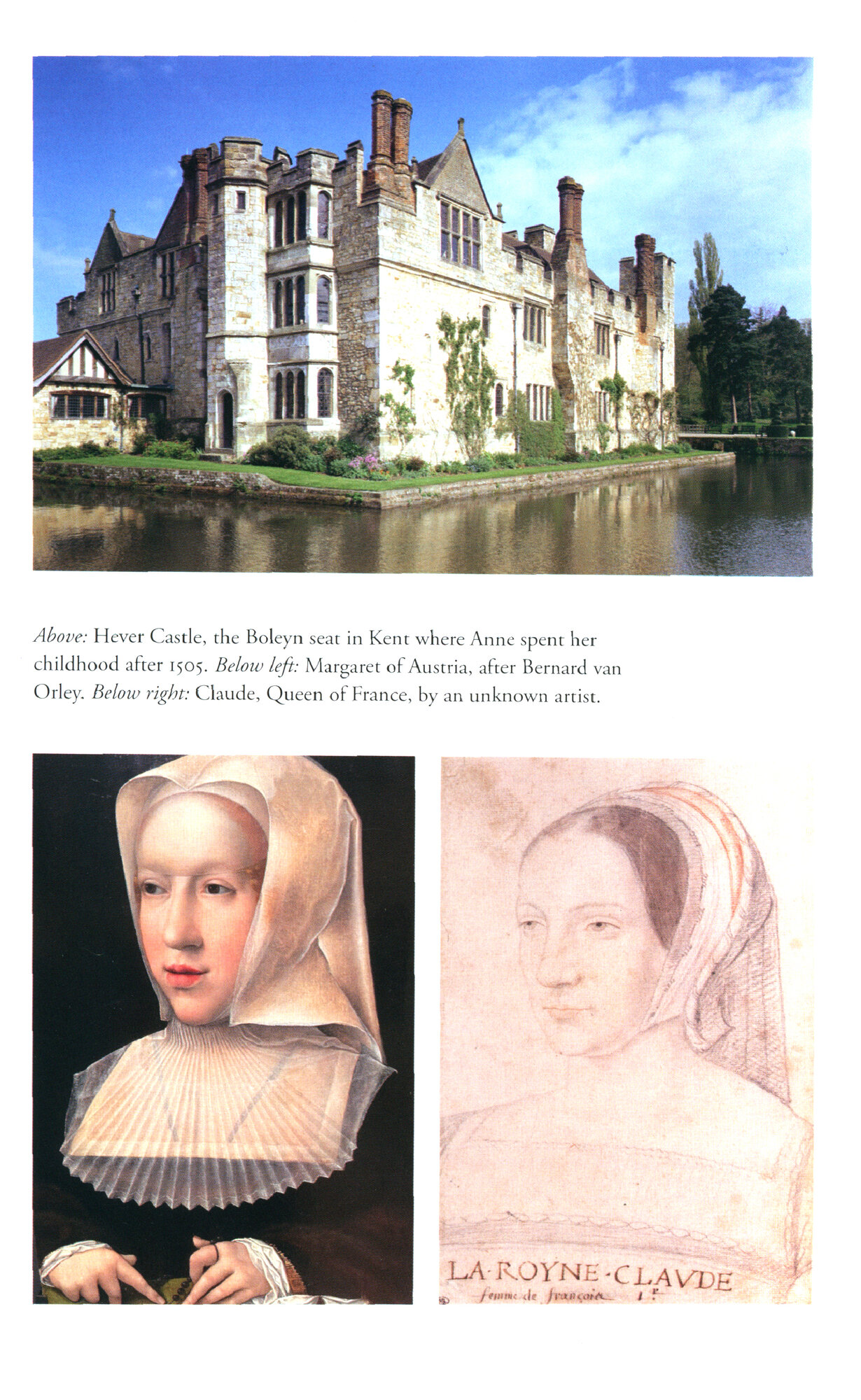 Hunting the Falcon. Henry VIII, Anne Boleyn and the Marriage That Shook Europe - фото №3