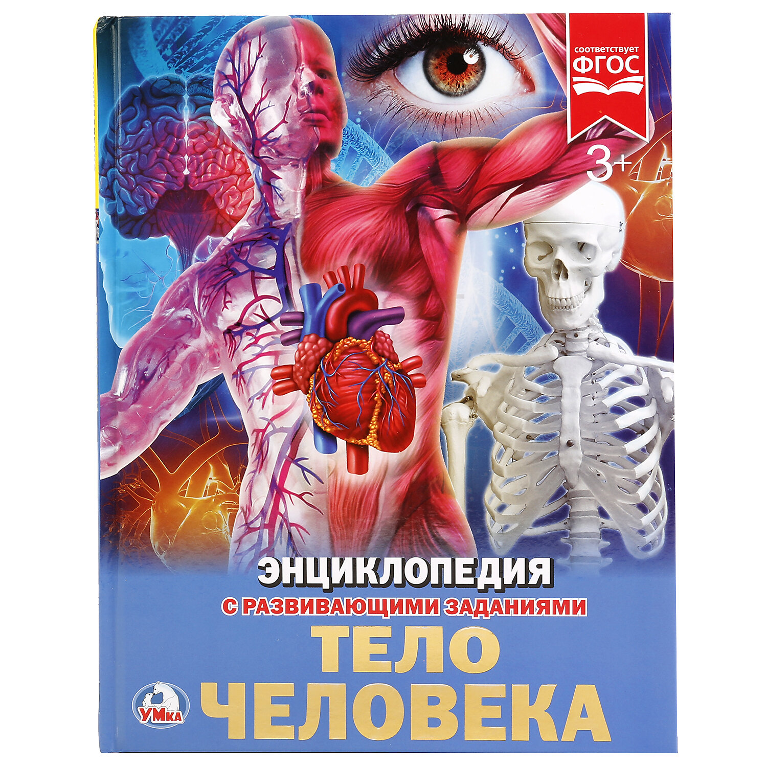 "Умка". Тело человека (энциклопедия А4). Твердый переплет. Бумага МЕЛ, 48 СТР,