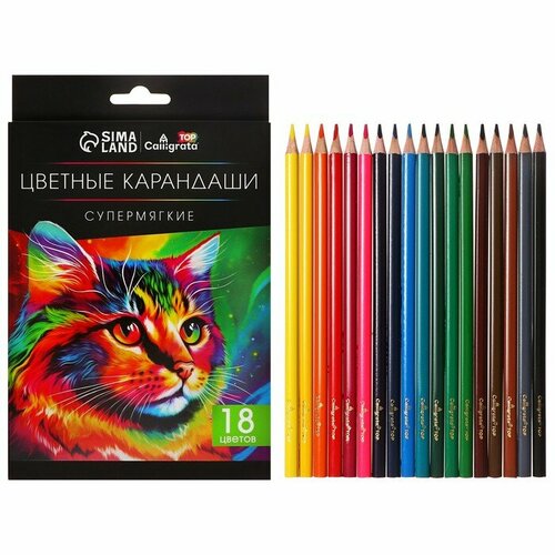 Карандаши 18 цветов TOP Calligrata в картонной коробке диаметр грифеля - 3мм 5B 469₽
