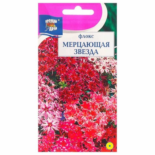 Семена цветов Флокс Мерцающая звезда, 0,1 г, 3 упак. printio пакет 15 5x22x5 см лепестки цветов